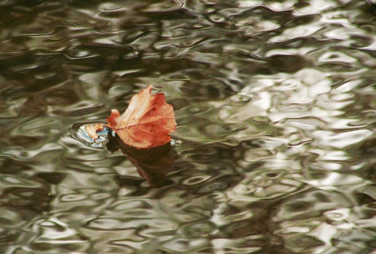 Reflection