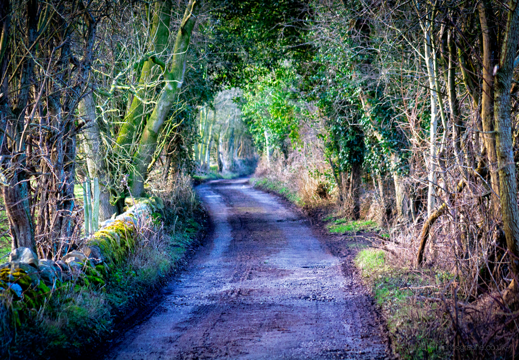 Wyver Lane, Belper